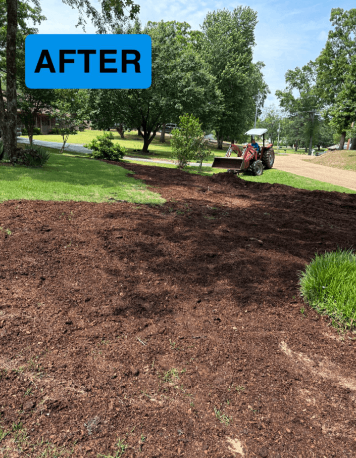 Onward & Upward landscaping tree removal and cleanup project photo 1 in Hot Springs AR