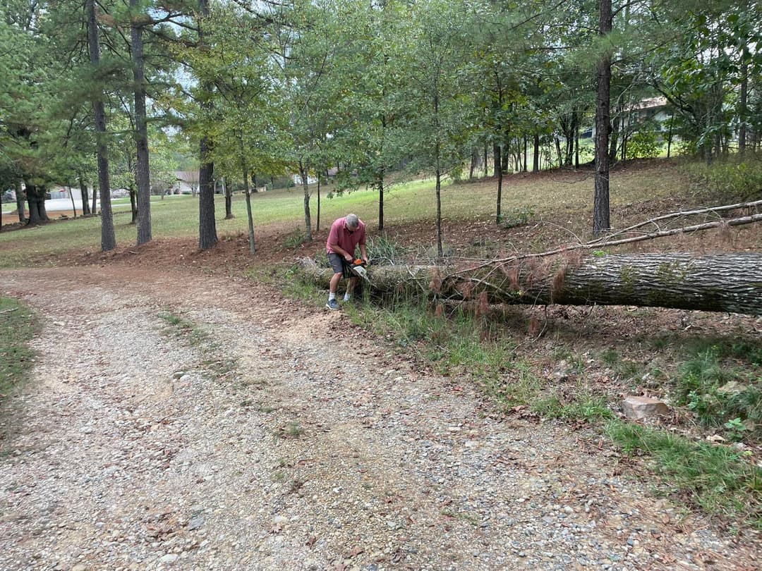 Onward & Upward landscaping tree removal and cleanup project photo 16 in Hot Springs AR