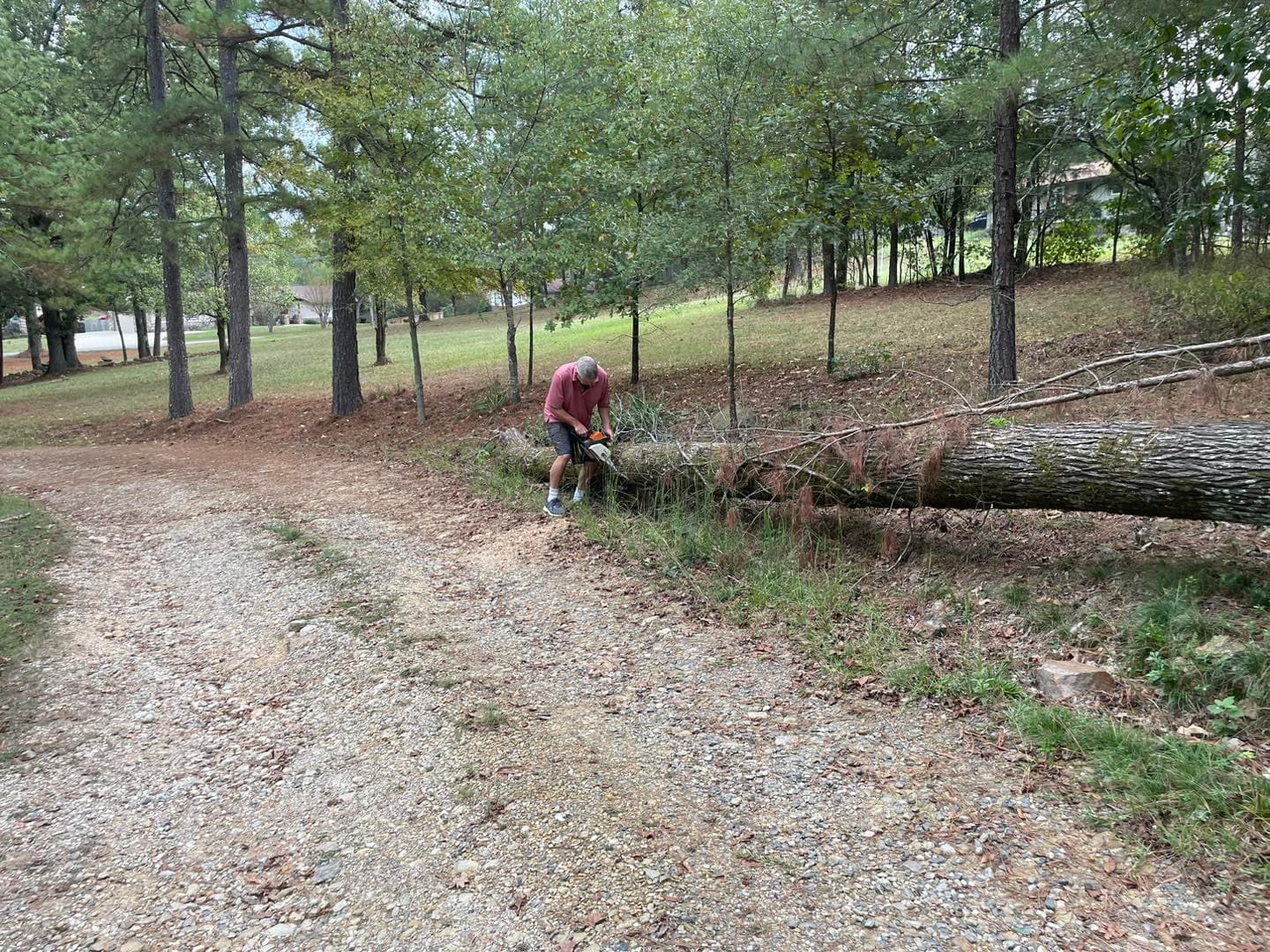 brush clearing and cleanup Hot Springs AR