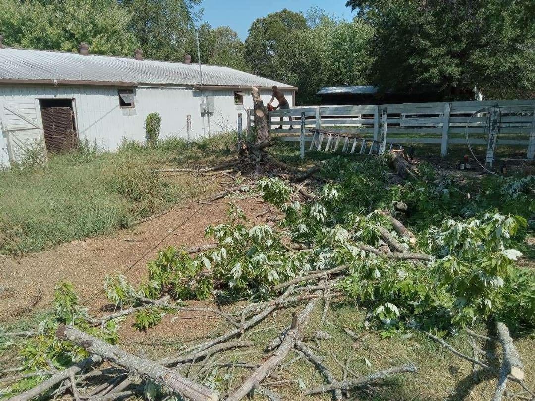 Onward & Upward landscaping tree removal and cleanup project photo 17 in Hot Springs AR