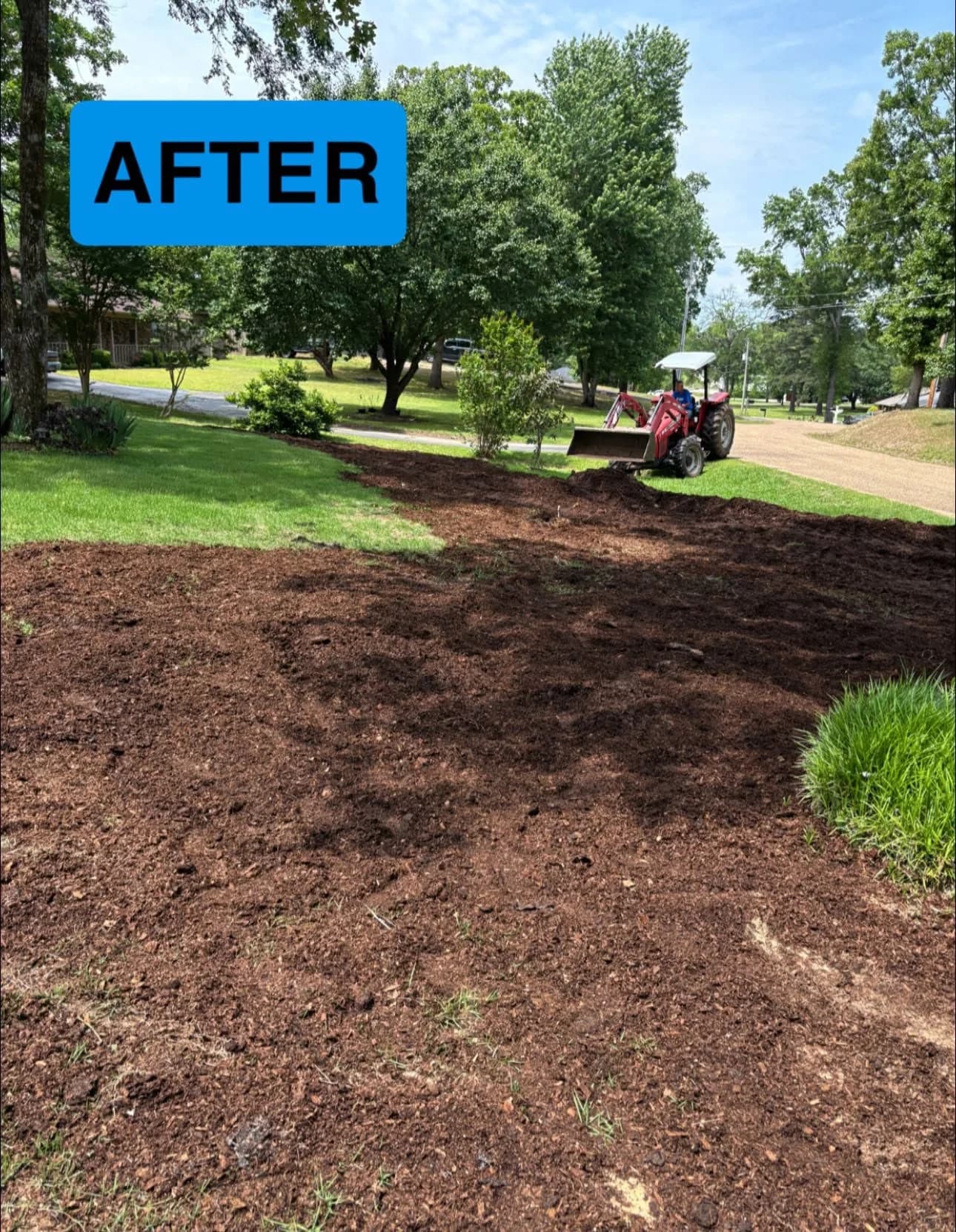 yard cleanup brush removal and hauling in Hot Springs Arkansas