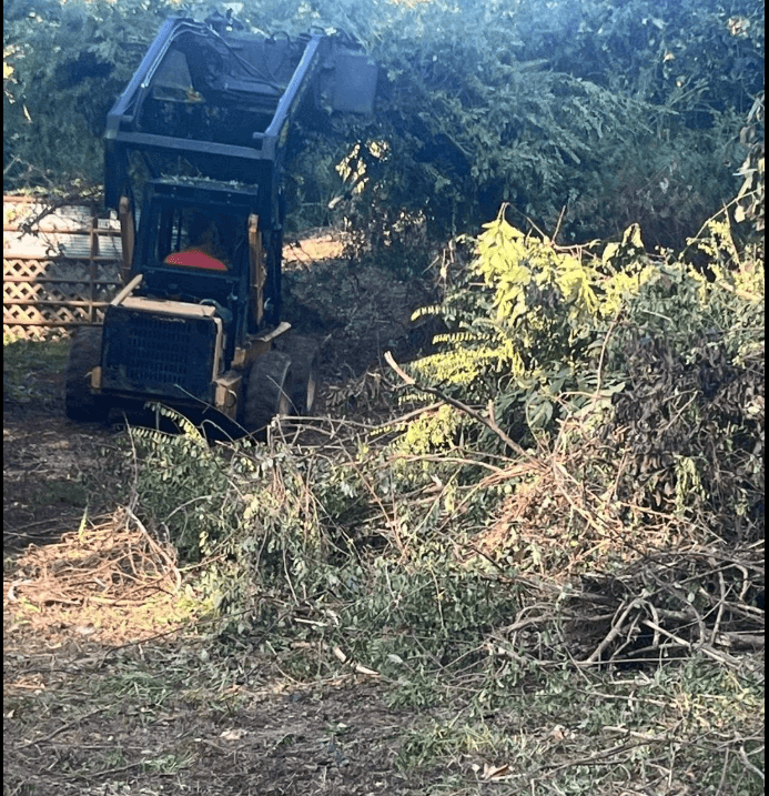Tree removal and debris cleanup in Hot Springs AR near Bryant, AR